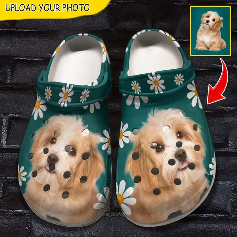 Personalized Dog Picture Shoes