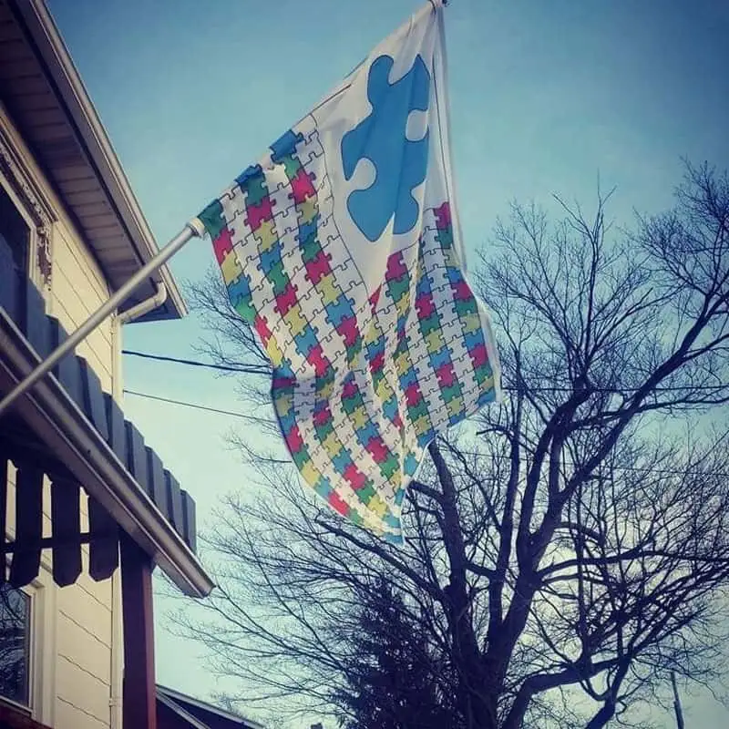 Autism Flag
